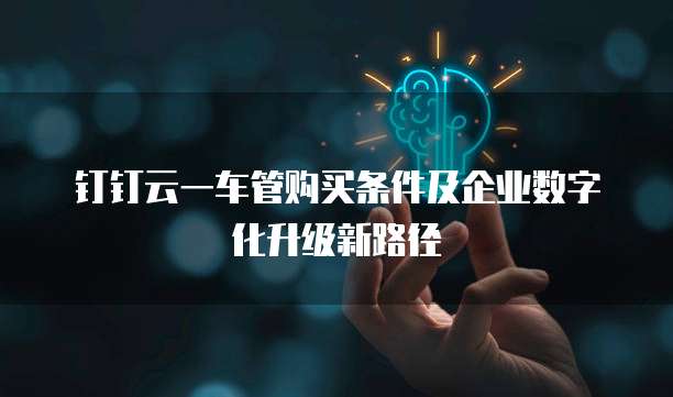 钉钉云一车管购买条件及企业数字化升级新路径