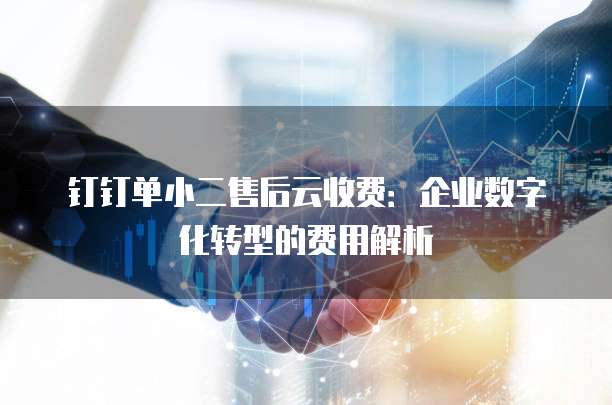 钉钉单小二售后云收费:企业数字化转型的费用解析
