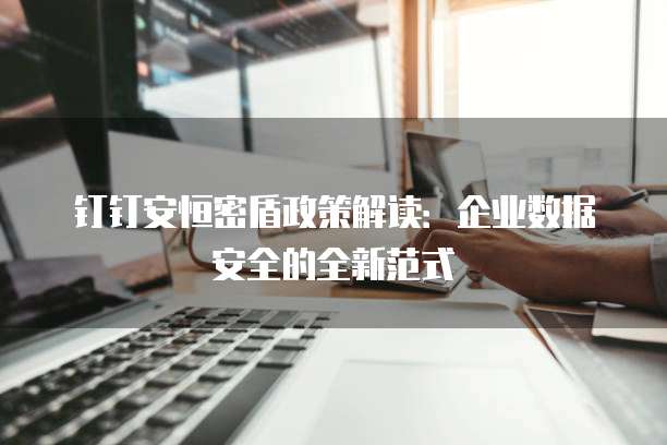 钉钉安恒密盾政策解读:企业数据安全的全新范式