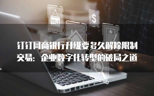 钉钉网商银行升级要多久解除限制交易:企业数字化转型的破局之道