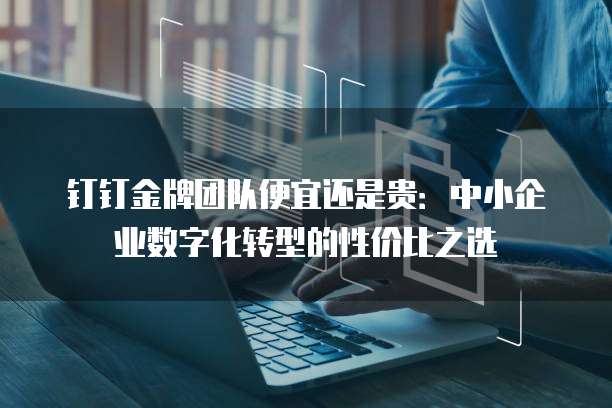 钉钉金牌团队便宜还是贵:中小企业数字化转型的性价比之选