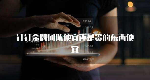 钉钉金牌团队便宜还是贵的东西便宜