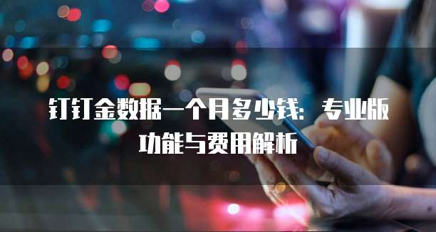 钉钉金数据一个月多少钱:专业版功能与费用解析