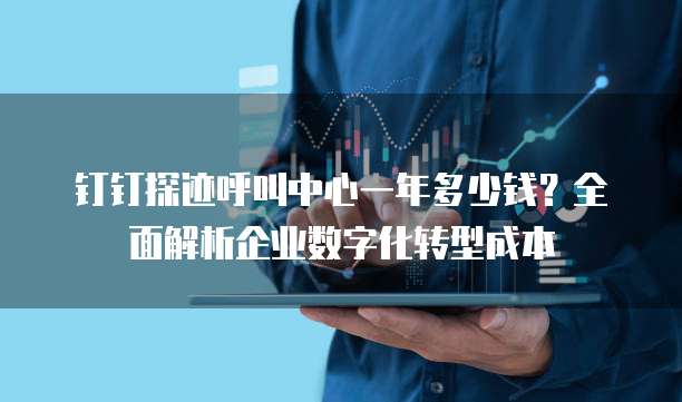 钉钉探迹呼叫中心一年多少钱?全面解析企业数字化转型成本