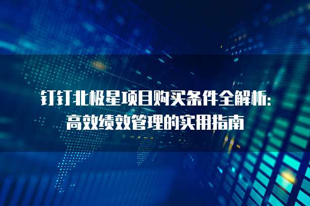 钉钉北极星项目购买条件全解析:高效绩效管理的实用指南