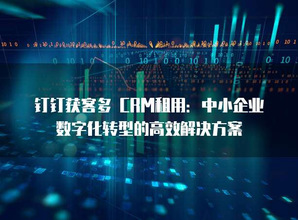 钉钉获客多 CRM租用:中小企业数字化转型的高效解决方案