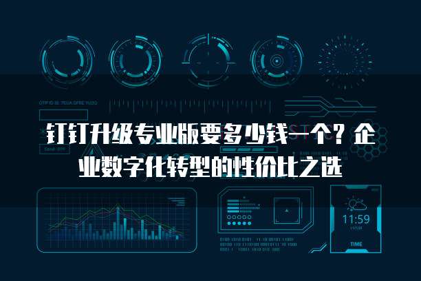 钉钉升级专业版要多少钱一个?企业数字化转型的性价比之选
