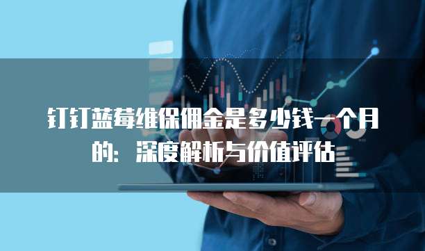 钉钉蓝莓维保佣金是多少钱一个月的:深度解析与价值评估