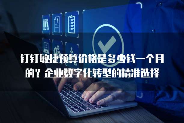 钉钉敏捷预算价格是多少钱一个月的?企业数字化转型的精准选择