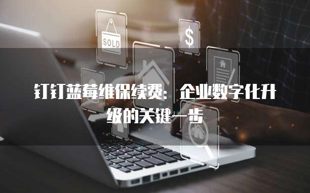 钉钉蓝莓维保续费:企业数字化升级的关键一步