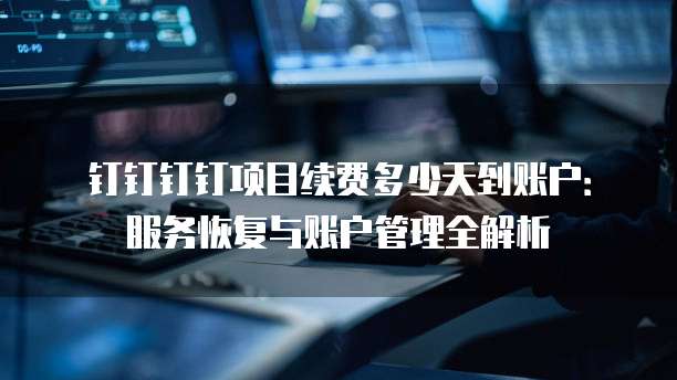 钉钉钉钉项目续费多少天到账户:服务恢复与账户管理全解析