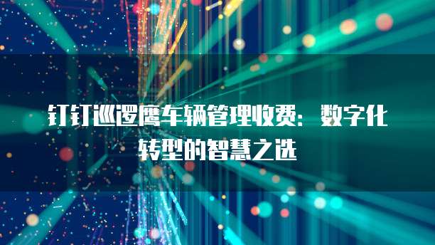 钉钉巡逻鹰车辆管理收费:数字化转型的智慧之选