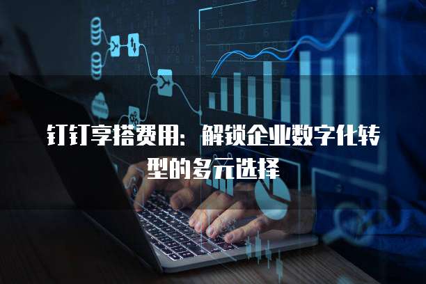 钉钉享搭费用:解锁企业数字化转型的多元选择