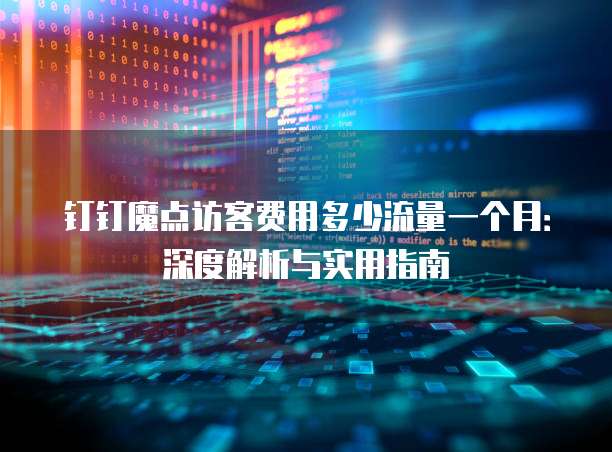 钉钉魔点访客费用多少流量一个月:深度解析与实用指南