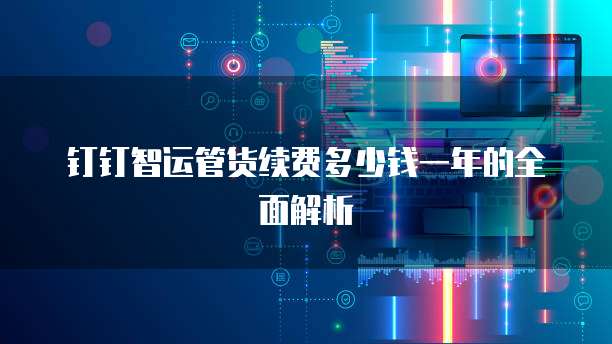 钉钉智运管货续费多少钱一年的全面解析