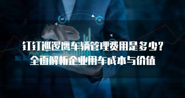 钉钉巡逻鹰车辆管理费用是多少?全面解析企业用车成本与价值