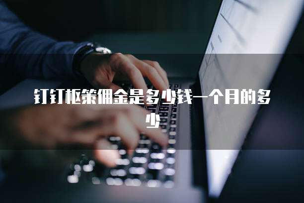 钉钉枢策佣金是多少钱一个月的多少