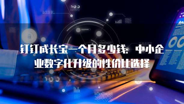 钉钉成长宝一个月多少钱:中小企业数字化升级的性价比选择