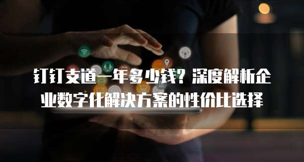 钉钉支道一年多少钱?深度解析企业数字化解决方案的性价比选择
