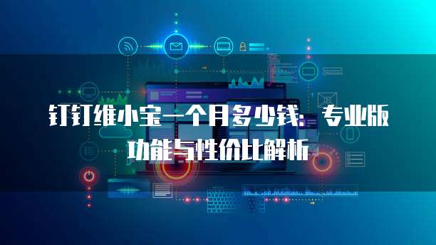 钉钉维小宝一个月多少钱:专业版功能与性价比解析
