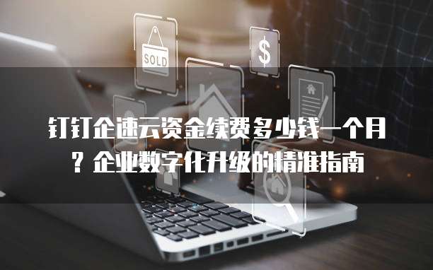 钉钉企速云资金续费多少钱一个月?企业数字化升级的精准指南