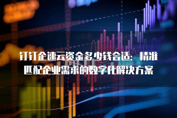 钉钉企速云资金多少钱合适:精准匹配企业需求的数字化解决方案
