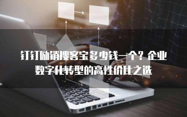 钉钉励销搜客宝多少钱一个？企业数字化转型的高性价比之选