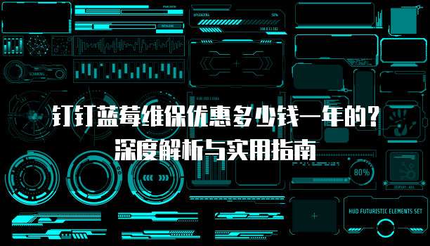 钉钉蓝莓维保优惠多少钱一年的?深度解析与实用指南