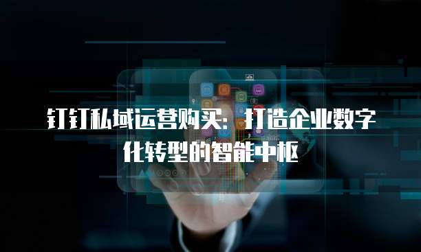 钉钉私域运营购买：打造企业数字化转型的智能中枢