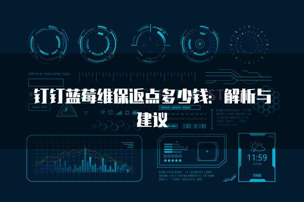 钉钉蓝莓维保返点多少钱:解析与建议