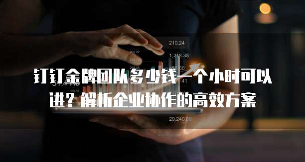 钉钉金牌团队多少钱一个小时可以进?解析企业协作的高效方案