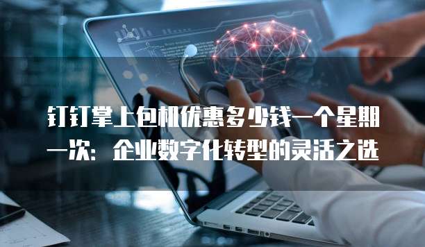 钉钉掌上包机优惠多少钱一个星期一次:企业数字化转型的灵活之选