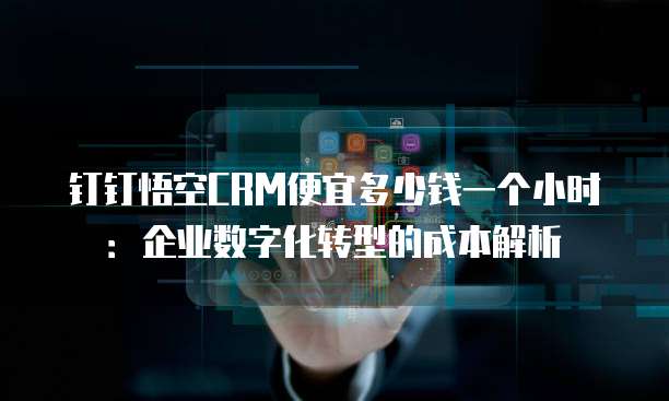钉钉悟空CRM便宜多少钱一个小时：企业数字化转型的成本解析