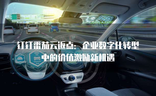钉钉番茄云返点:企业数字化转型中的价值激励新机遇