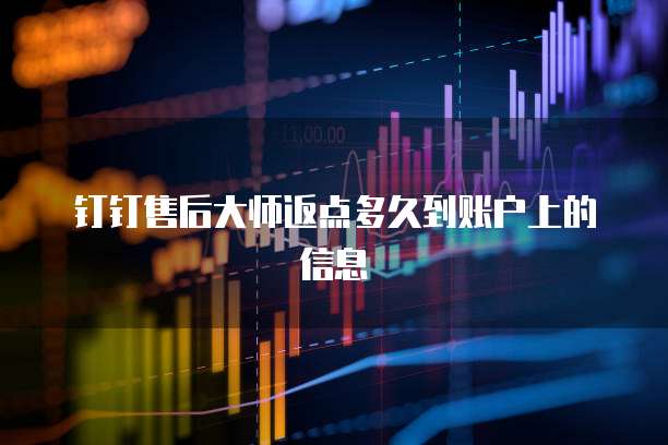 钉钉售后大师返点多久到账户上的信息