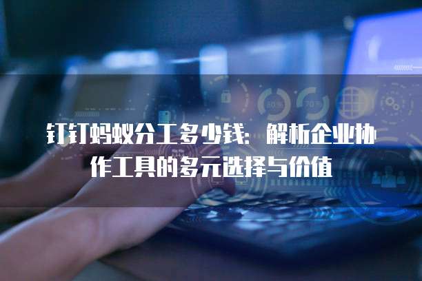 钉钉蚂蚁分工多少钱：解析企业协作工具的多元选择与价值