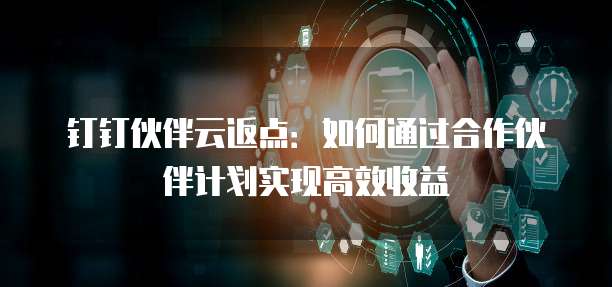钉钉伙伴云返点:如何通过合作伙伴计划实现高效收益