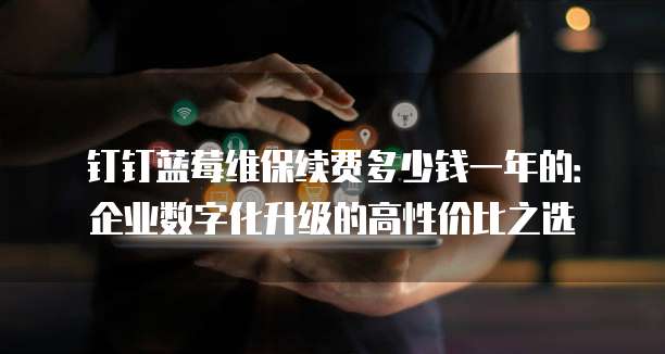 钉钉蓝莓维保续费多少钱一年的:企业数字化升级的高性价比之选