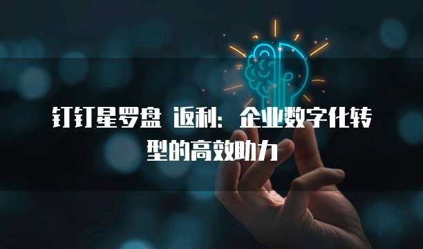 钉钉星罗盘 返利:企业数字化转型的高效助力