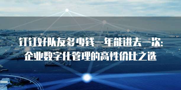 钉钉好队友多少钱一年能进去一次:企业数字化管理的高性价比之选
