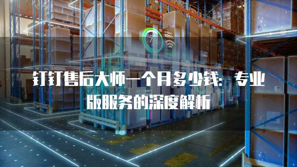 钉钉售后大师一个月多少钱:专业版服务的深度解析