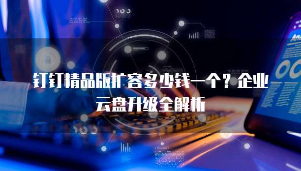 钉钉精品版扩容多少钱一个?企业云盘升级全解析