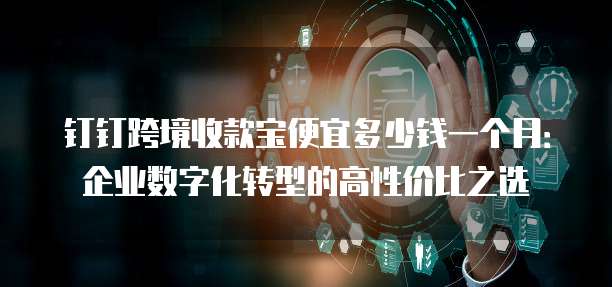 钉钉跨境收款宝便宜多少钱一个月:企业数字化转型的高性价比之选