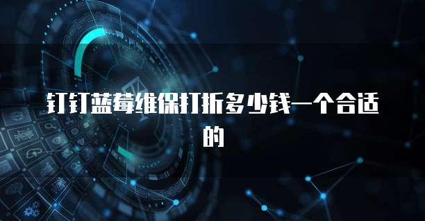 钉钉蓝莓维保打折多少钱一个合适的