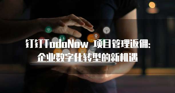 钉钉TodoNow 项目管理返佣:企业数字化转型的新机遇
