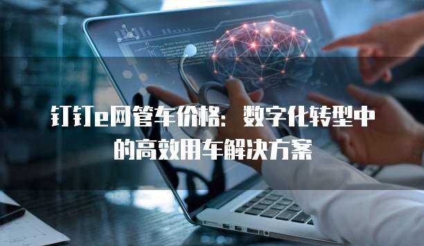 钉钉e网管车价格:数字化转型中的高效用车解决方案