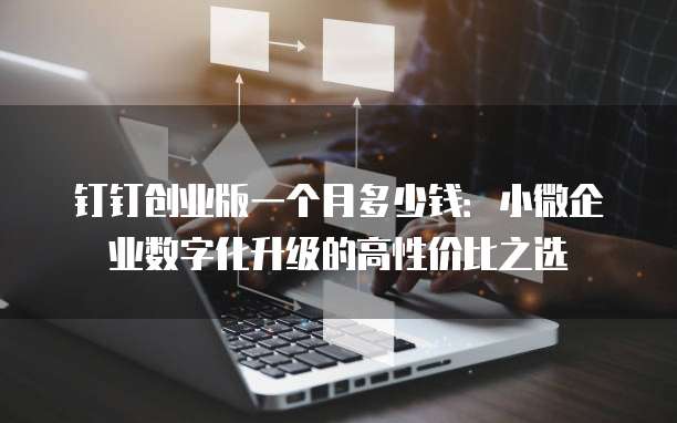 钉钉创业版一个月多少钱:小微企业数字化升级的高性价比之选