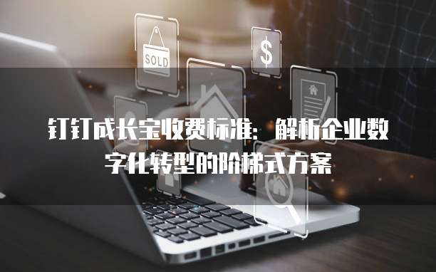 钉钉成长宝收费标准:解析企业数字化转型的阶梯式方案
