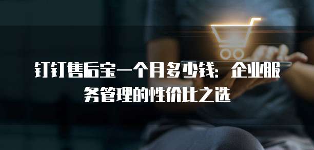 钉钉售后宝一个月多少钱:企业服务管理的性价比之选
