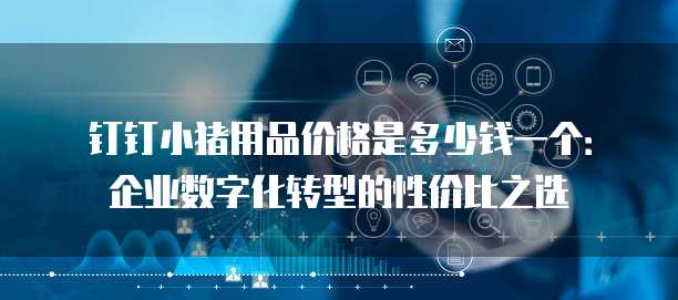 钉钉小猪用品价格是多少钱一个:企业数字化转型的性价比之选